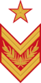 RKKA 1940 chevron OF10 marshal.svg