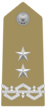 Rank insignia of generale di divisione of the Army of Italy (1973).svg