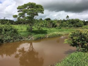 Rio Boa Vista, Ouro Preto do Oeste, Rondônia.jpg