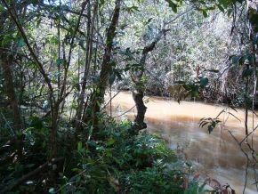 Rio Laranja Doce - Taciba SP - panoramio.jpg