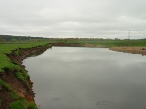 Река Проня на границе Чаусского и Славгородского районов