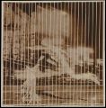 Эль Лисицкий, (Бегун в городе) (Эксперимент для фрески для спортивного клуба) (Рекорд), желатиновый серебристый принт, 1926 г.