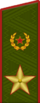 Повседневный погон генерала армии (1974-1991)