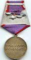 Медаль «За трудовую доблесть»: реверс с пятиугольной колодкой