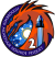 SpaceX Crew-2 logo.png