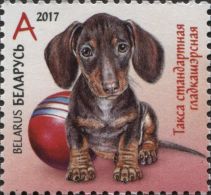 Такса стандартная гладкошёрстная (почтовая марка, Беларусь, 2017 год)