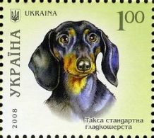 Стандартная гладкошёрстная такса (почтовая марка, Украина, 2008 год)