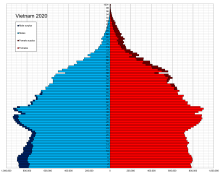 Половозрастная структура населения Вьетнама (2020 год)