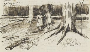 Vincent van Gogh - Girl in White in the Woods JH183.jpg