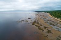 WhiteSea DJI 0419.jpg