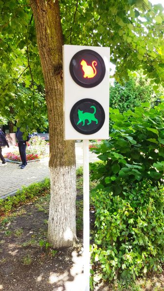 Файл:Zelenogradsk - Cat Traffic Light on Kurortny Prospekt.jpg