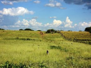 Zona Rural de Sítio do Mato, Bahia, Brasil..JPG