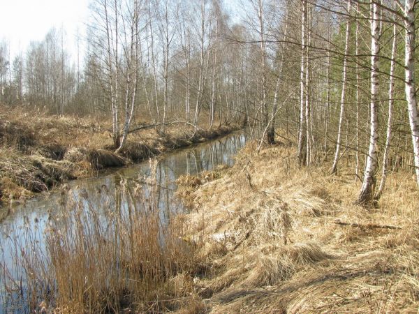 Весна: описание времени года, месяцы и природные явления