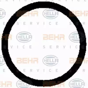 Фото 8FK351098521 Компрессор BEHR HELLA SERVICE {forloop.counter}}