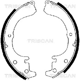 Фото 810010216 Комлект тормозных накладок TRISCAN {forloop.counter}}