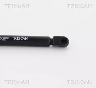 Фото 871012217 Газовая пружина TRISCAN {forloop.counter}}