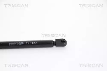 Фото 871023220 Газовая пружина TRISCAN {forloop.counter}}