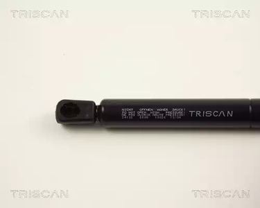 Фото 8710 24102 Газовая пружина Triscan {forloop.counter}}