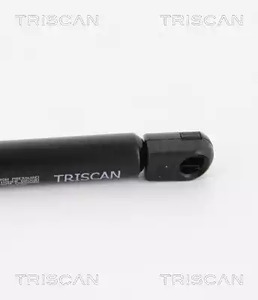 Фото 8710 25262 Газовая пружина Triscan {forloop.counter}}