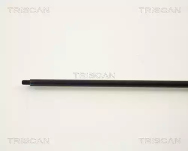 Фото 87102701 Газовая пружина TRISCAN {forloop.counter}}