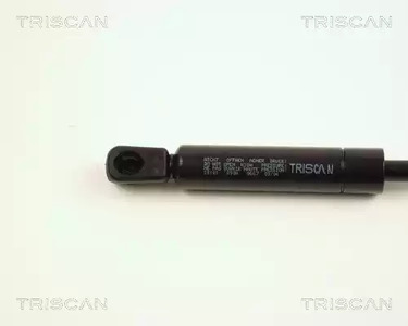 Фото 871028101 Газовая пружина TRISCAN {forloop.counter}}