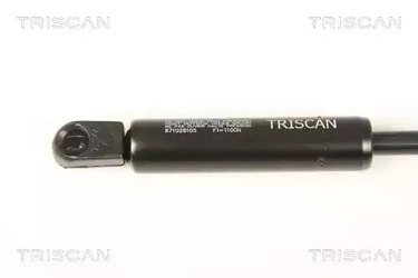 Фото 871028105 Газовая пружина TRISCAN {forloop.counter}}