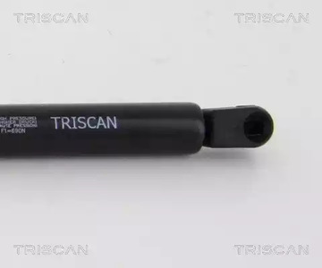 Фото 8710292027 Газовая пружина TRISCAN {forloop.counter}}