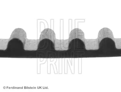 Фото ADT37527 Ремень Blue Print {forloop.counter}}