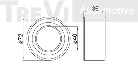 Фото WB1002 Комплект подшипника TREVI AUTOMOTIVE {forloop.counter}}