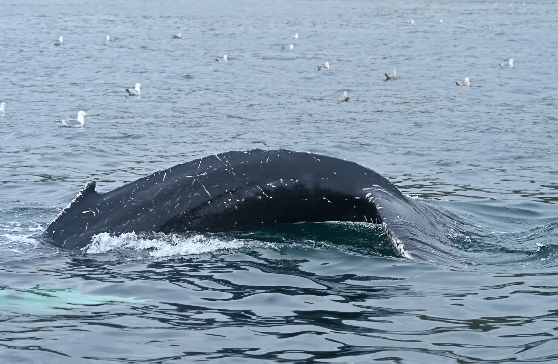 Itygran Island, Senyavin Strait