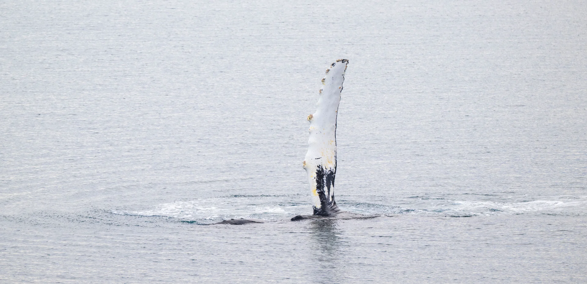 Itygran Island, Senyavin Strait