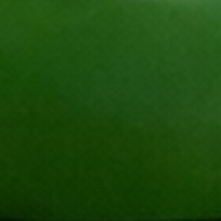 Green olive