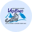 Логотип Ирбис