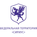 Логотип Навигатор ДО СИРИУС