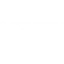 Логотип ВГОСТИ