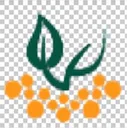 Логотип Био-Конференции