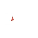 Логотип НАИК
