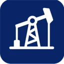 Логотип NEFTEGAZ DAY GROUP