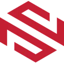 Логотип NS Service