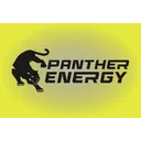 Логотип PANTHER ENERGY