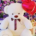 Логотип Spbbear.ru