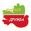 Логотип Дуслык