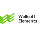 Логотип Wellsoft Elements