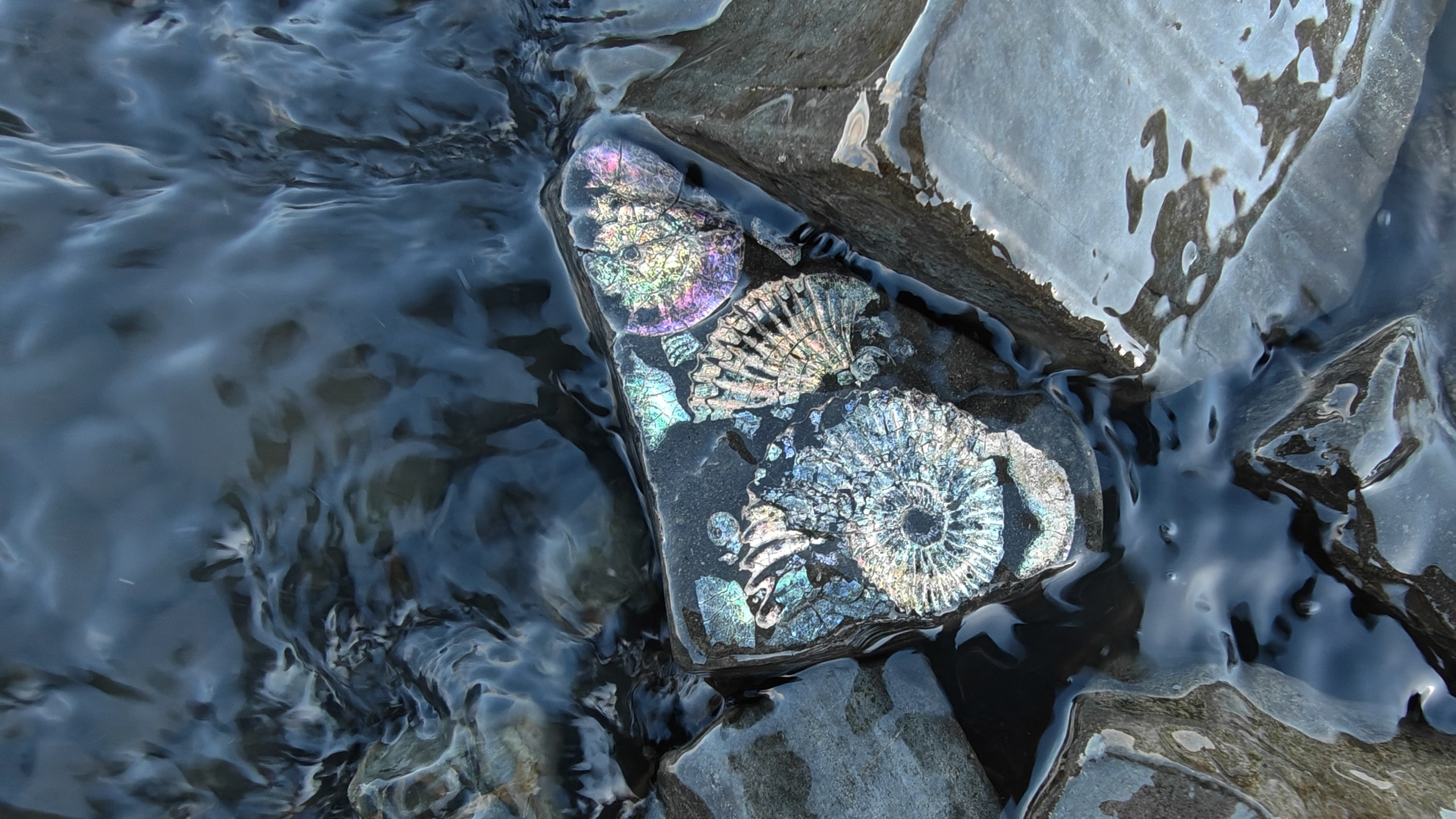 Slide image 1