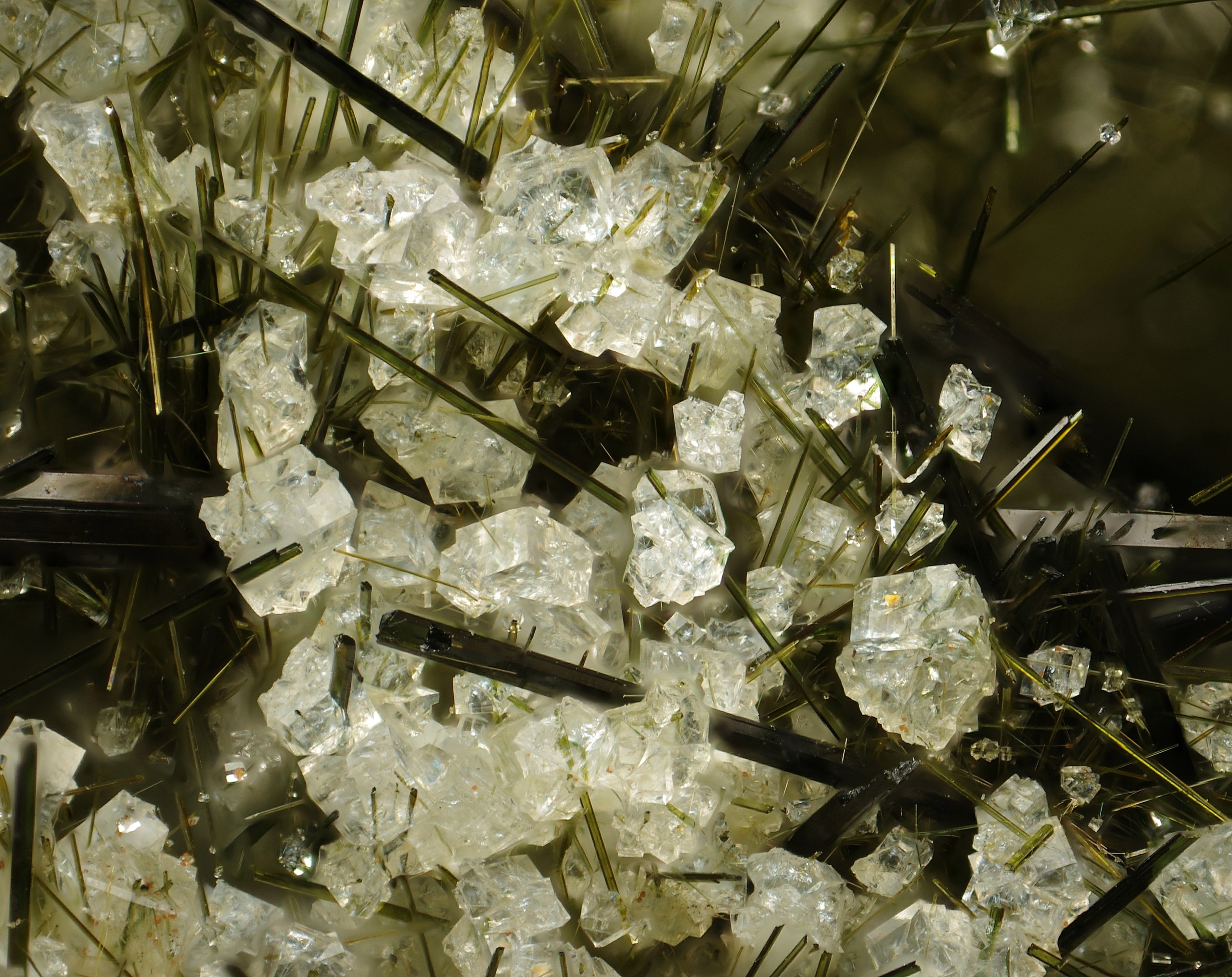 Slide image 12