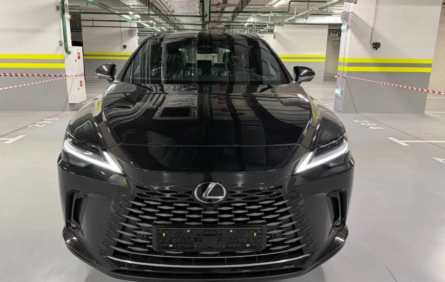 Lexus RX, вид сзади