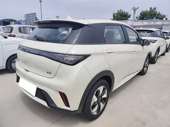 BYD Dolphin Surf — компактный электрохэтчбек, 55 кВт, от 1 690 000 ₽