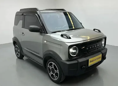 Geely Panda 2026