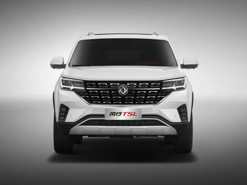 Dongfeng Forthing T5L, 2026 — фото 1
