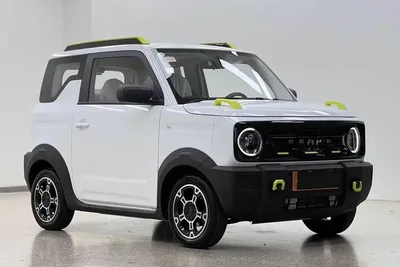 Geely Panda 2026